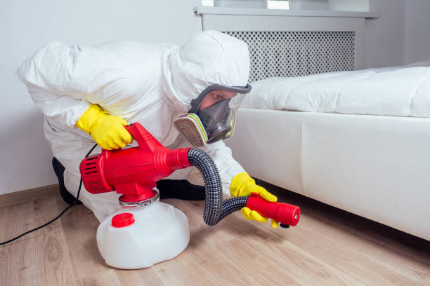Best Pest Prevention Services  in Green Village, NJ