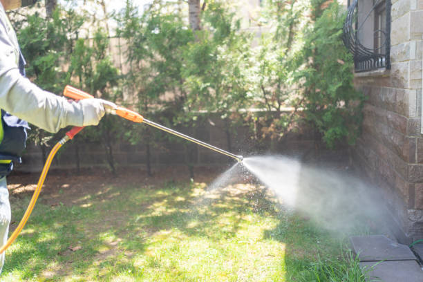 Insect Control in Green Village, NJ
