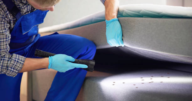 Reliable Green Village, NJ Pest Control Solutions