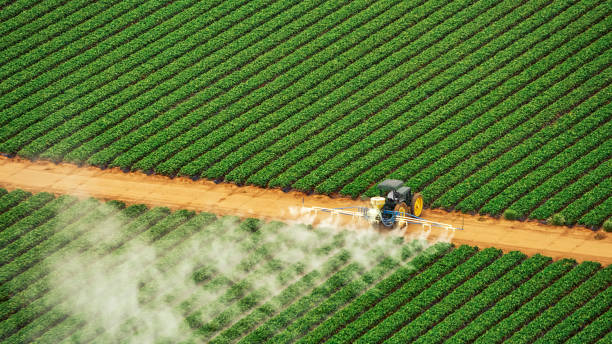 Reliable Green Village, NJ Pest Control Solutions